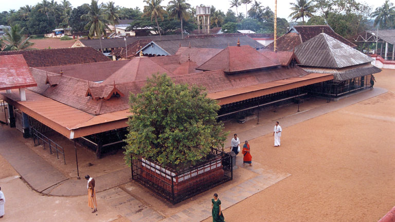 Chottanikkara-Bhagavathy-Temple image