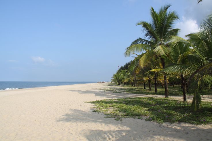 Kerala Marari Beach image