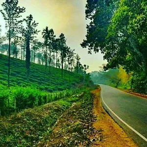 Chikmagalur Tour Packages