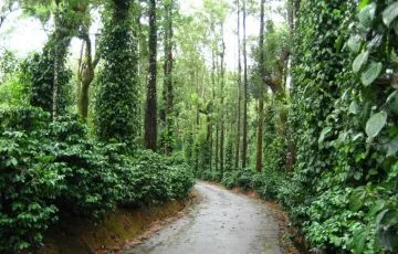 Coorg Tour Packages