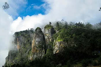 Kodaikanal Tour Packages