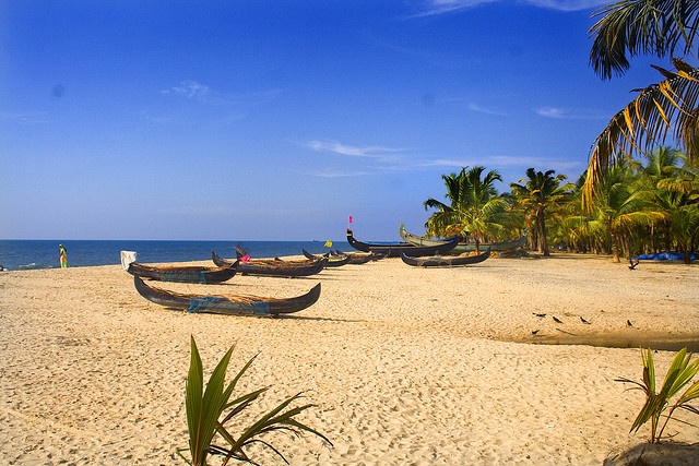 mararikulam beach image