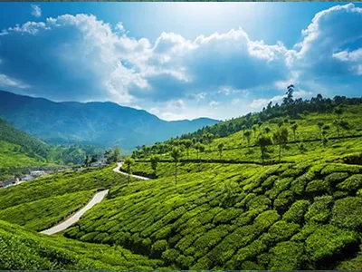 Munnar Tour Packages