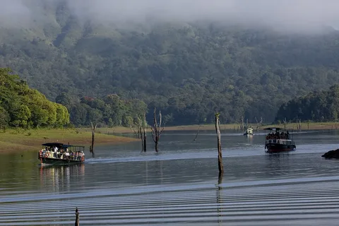 Thekkady Tour Packages